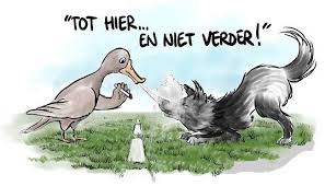 Innerlijk kindwerk met regressie visualisatie
