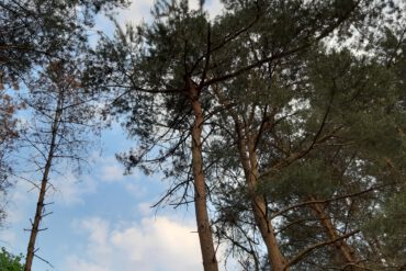 Een reiki behandeling
